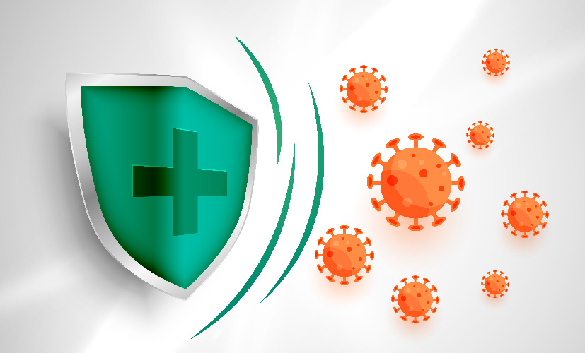 Sostegno del Sistema Immunitario: Quando Integrare Zinco ed Echinacea per Prevenire Malanni di Stagione