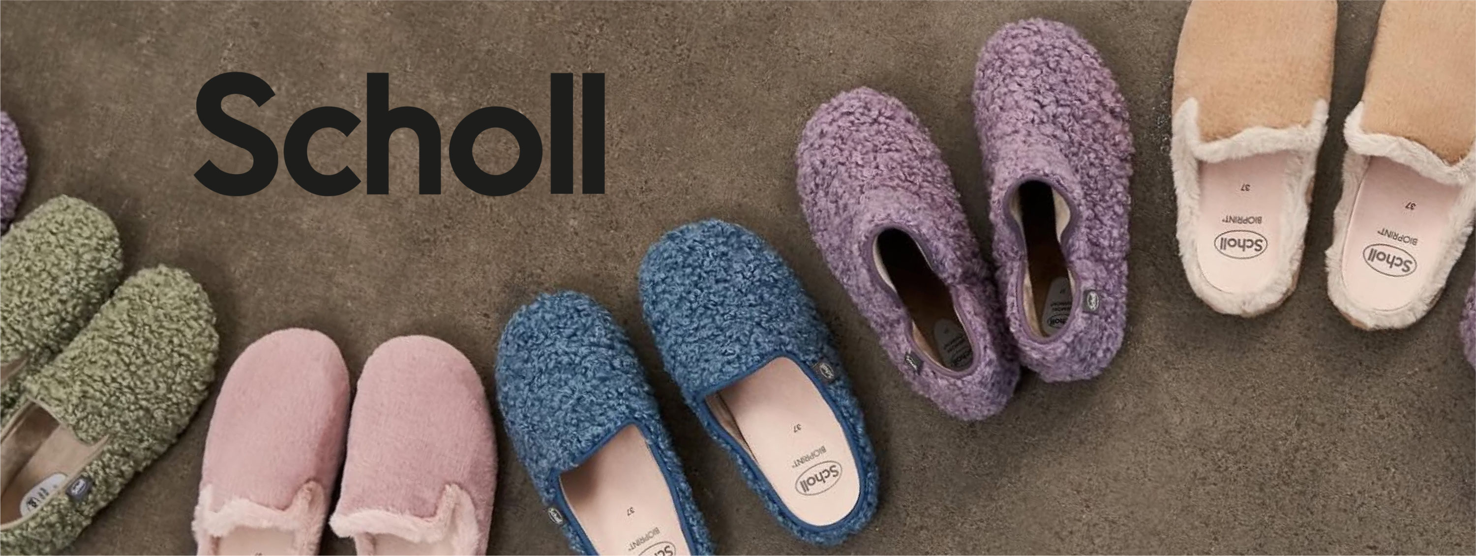 scarpe-scholl