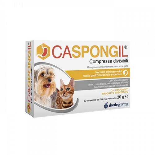 CASPONGIL 30 COMPRESSE DIVISIBILI - dottorbianchi.it