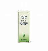 ECHINACEA ANGUST 125ML TM - dottorbianchi.it