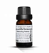 LVS 88C POTENTILLA TORMENTILLA COMPOSITUM - dottorbianchi.it