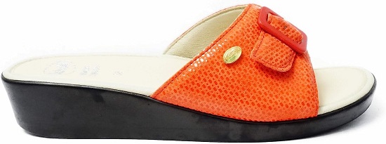 MANGO COLORE MANGO 41 - dottorbianchi.it