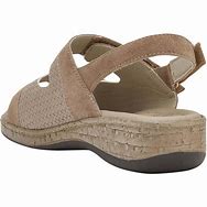 MARINELLA ROSA ANTICO 35 - dottorbianchi.it