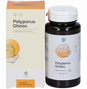 POLYPORUS GHEOS 90 CAPSULE - dottorbianchi.it