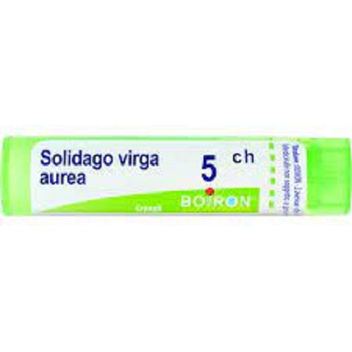 SOLIDAGO VIRGA AUREA 5 CH GRANULI 4G - dottorbianchi.it