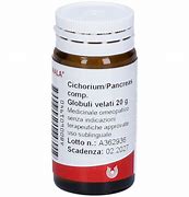 WALA CICHORIUM PANCREAS GLOBULI 20 G - dottorbianchi.it