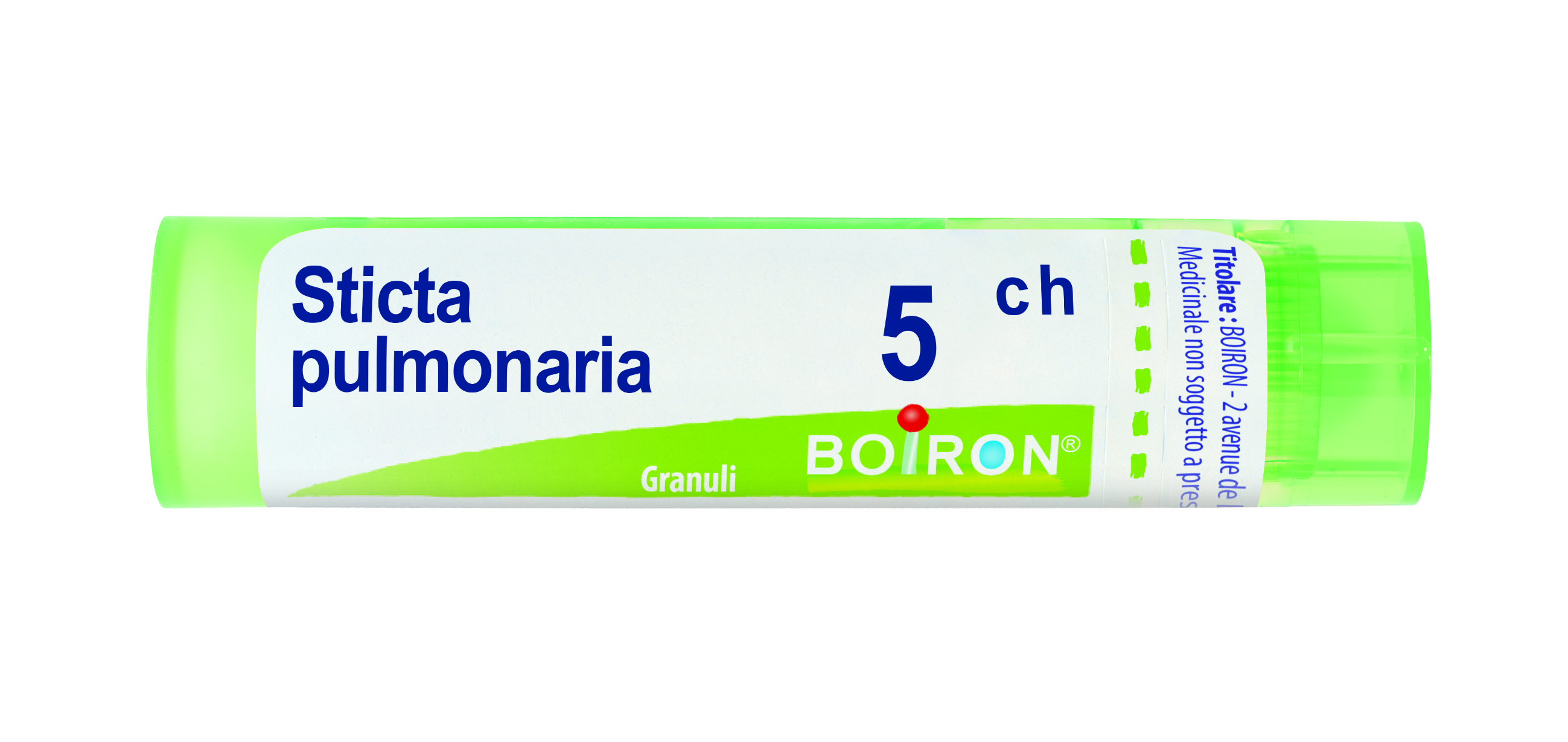 STICTA PULMONARIA*5CH 80GR 4G - dottorbianchi.it