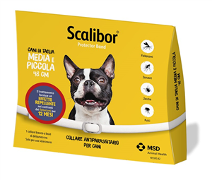 SCALIBOR PROTECTOR BAND*BI48CM - dottorbianchi.it