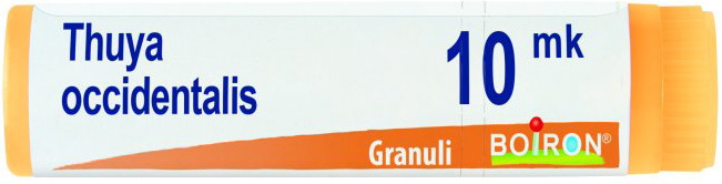 THUYA OCCIDENTALIS XMK GLOBULI - dottorbianchi.it