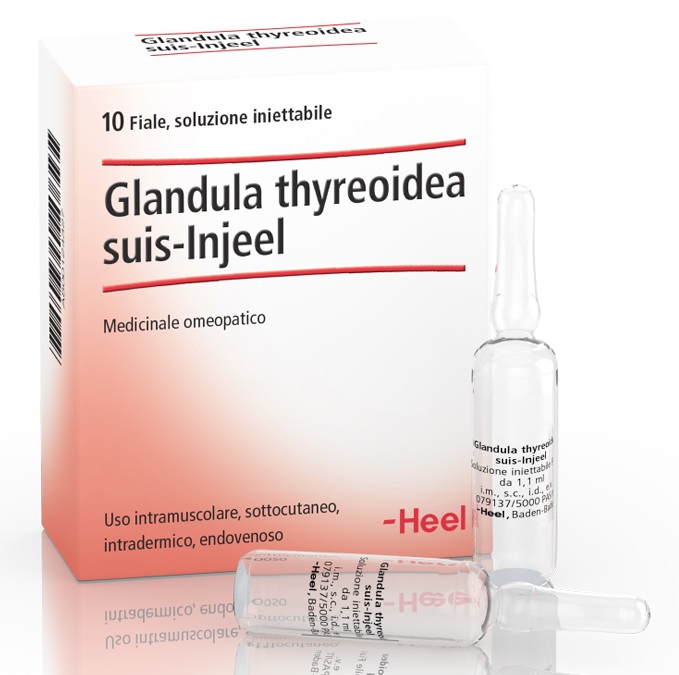 HEEL GLANDULA THYROIDEA SUIS INJEEL 10 FIALE - dottorbianchi.it