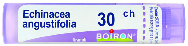 ECHINACEA ANGUSTIFOLIA 30 CH GRANULI - dottorbianchi.it