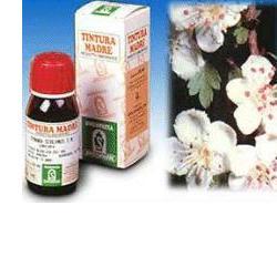 BIANCOSPINO 10 50ML TM - dottorbianchi.it