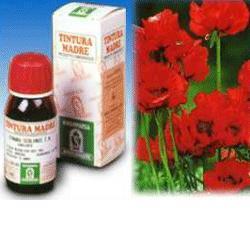 PAPAVERO CALIFORNIA 13 50ML TM - dottorbianchi.it