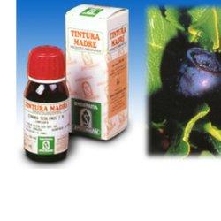 MIRTILLO 31 50ML TM - dottorbianchi.it