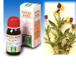 VIOLA DEL PENSIERO 32 50ML TM - dottorbianchi.it