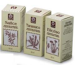 OLIO GERME GRANO 100 ML 501 - dottorbianchi.it