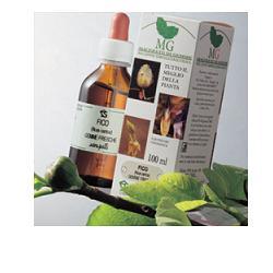 FICO 100ML MG - dottorbianchi.it