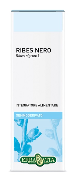 GEMMODERIVATO RIBES NERO 50 ML - dottorbianchi.it