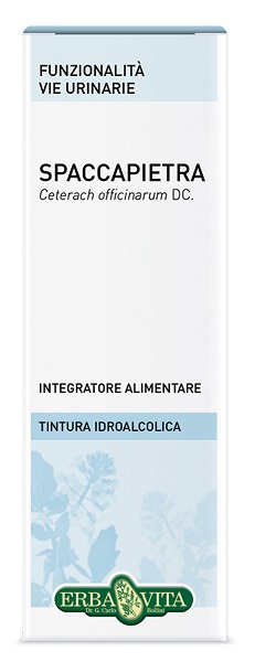 SPACCAPIETRA TINTURA IDROALCOLICA 50 ML EBV - dottorbianchi.it