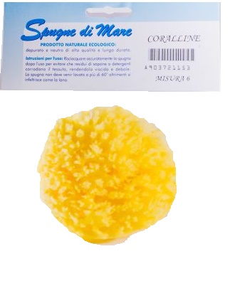 SPUGNA MARE NATURALE MEDIUM - dottorbianchi.it