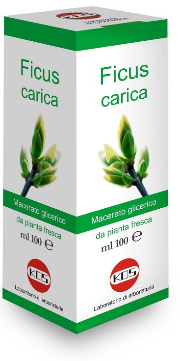 FICUS CARICA MG 100 ML GOCCE - dottorbianchi.it