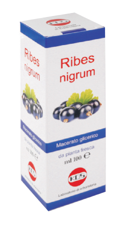 RIBES NIGRUM MG 100 ML GOCCE - dottorbianchi.it