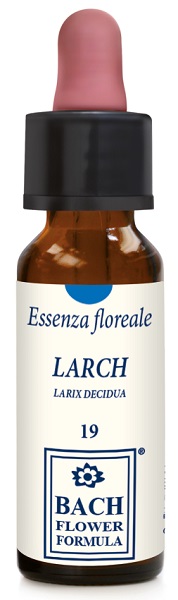 LARCH ORIGINAL GOCCE 10 ML - dottorbianchi.it