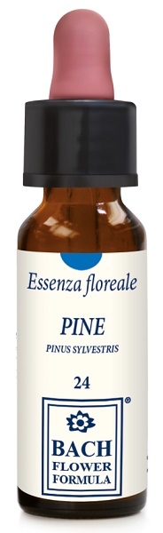 PINE ORIGINAL GOCCE 10 ML - dottorbianchi.it