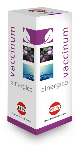 VACCINIUM SINERGICO GOCCE 100 ML - dottorbianchi.it