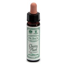 AINSWORTHS CHERRY PLUM 10ML - dottorbianchi.it