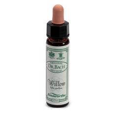 AINSWORTHS WILLOW 10ML - dottorbianchi.it