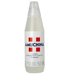 DISINFETTANTE IGIENIZZANTE A BASE DI IPOCLORITO DI SODIO ANTIMICROBICO AD AMPIO SPETTRO D'AZIONE AMUCHINA LIQUIDA 100% 1000 ML - dottorbianchi.it