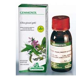 GEMMOSOL 36 RIBES NERO 50ML - dottorbianchi.it