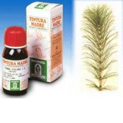 EQUISETO 12 50ML TM - dottorbianchi.it