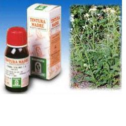 ACHILLEA 51 50ML TM - dottorbianchi.it