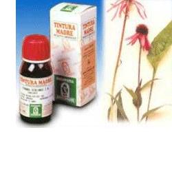 ECHINACEA 59 50ML TM - dottorbianchi.it