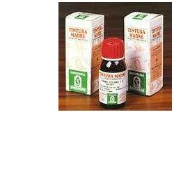 ERISIMO 61 50ML TM - dottorbianchi.it