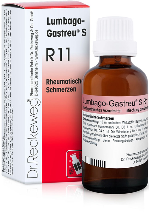 RECKEWEG R11 GOCCE 22 ML - dottorbianchi.it