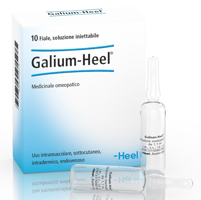 HEEL GALIUM 10 FIALE DA 1,1 ML L'UNA - dottorbianchi.it