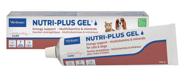 NUTRIPLUS GEL PASTA ORALE 120 G - dottorbianchi.it
