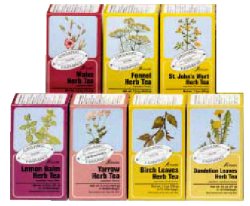 SALVIA TISANA 15 FILTRI BIO - dottorbianchi.it