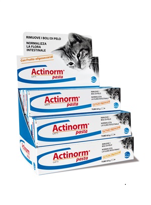 ACTINORM PASTA GATTI 65G - dottorbianchi.it