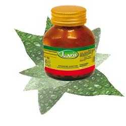 MACA 60 CAPSULE - dottorbianchi.it