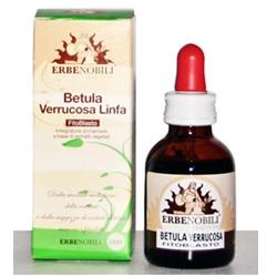FITOBLASTO BETULLA VERRUCOSA LINFA 50 ML - dottorbianchi.it