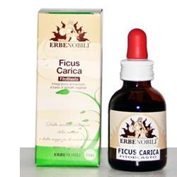 FITOBLASTO FICUS CARICA 50 ML - dottorbianchi.it
