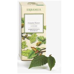 AESCULUS HIPPOCASTANUM GEMME GEMMODERIVATO 50 ML - dottorbianchi.it