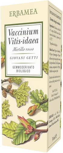 VACCINIUM VITIS IDAEA MIRTILLO ROSSO BIO 50 ML - dottorbianchi.it