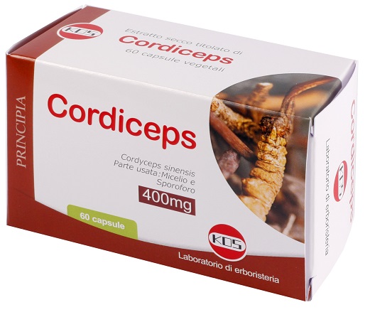 CORDICEPS ESTRATTO SECCO 60 CAPSULE - dottorbianchi.it