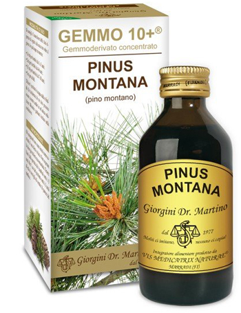 GEMMO 10+ PINO MONTANO 100 ML LIQUIDO ANALCOLICO - dottorbianchi.it