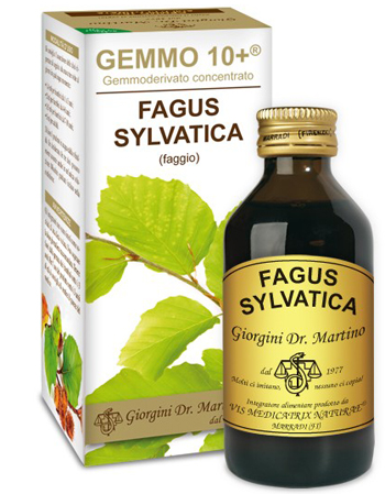 GEMMO 10+ FAGGIO 100 ML LIQUIDO ANALCOLICO - dottorbianchi.it